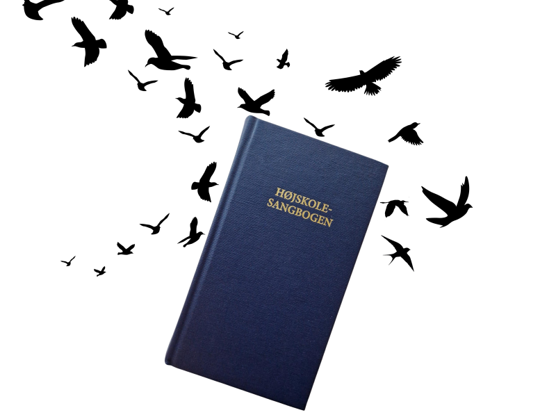 Højskolesangbog med billeder af fugleflok