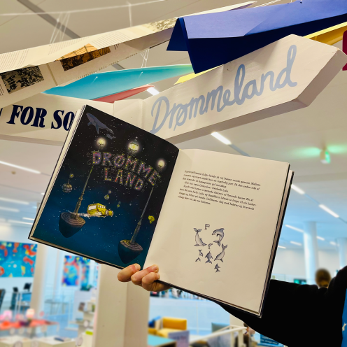 Opslag i bogen 'Lulu lukøje'