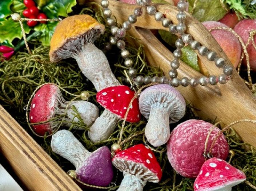 små vat-svampe i æske