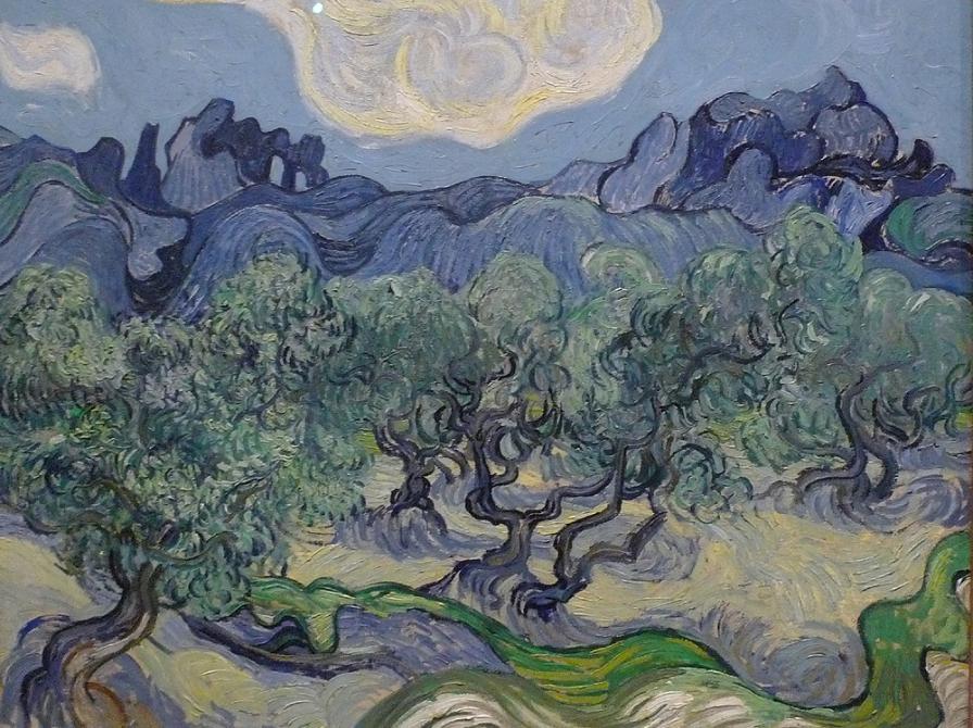 Maleri af Vincent van Gogh - Oliventræer