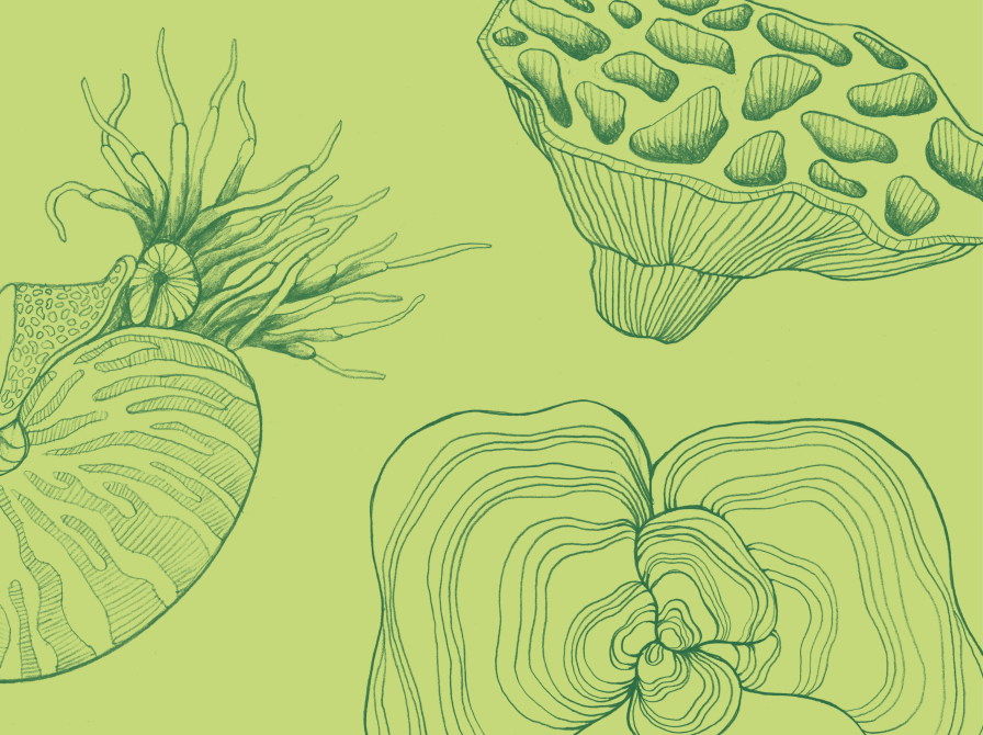 Gule bøger med påskekyllinger. i baggrunden bibliotekets hylder